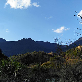 The Mount Yunzhong 9